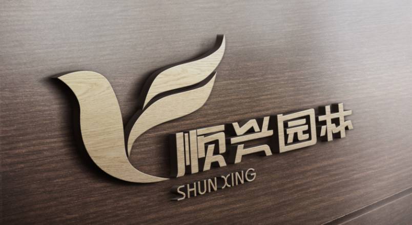 你的品牌缺的不是设计，而是一套会说话的视觉系统